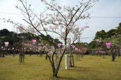 平戸城公園