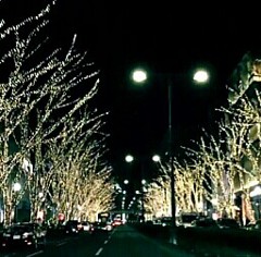 IMG_20131213_080135
