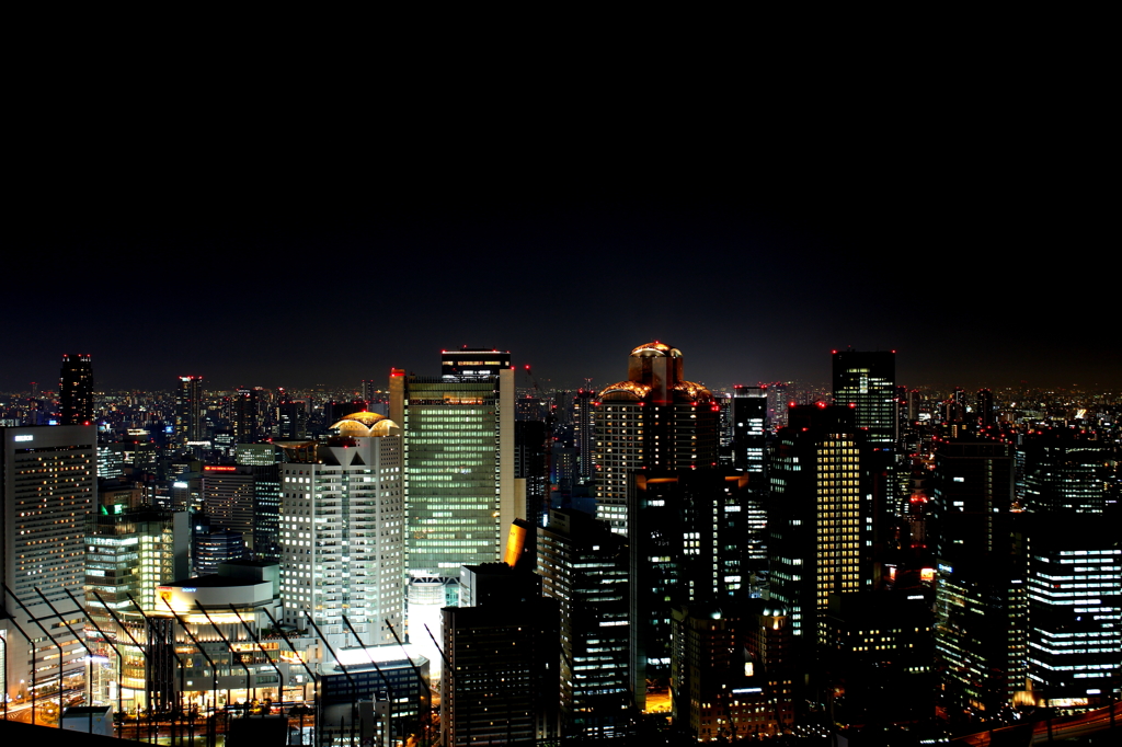 スカイビルからの夜景