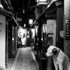 昭和風