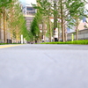 道