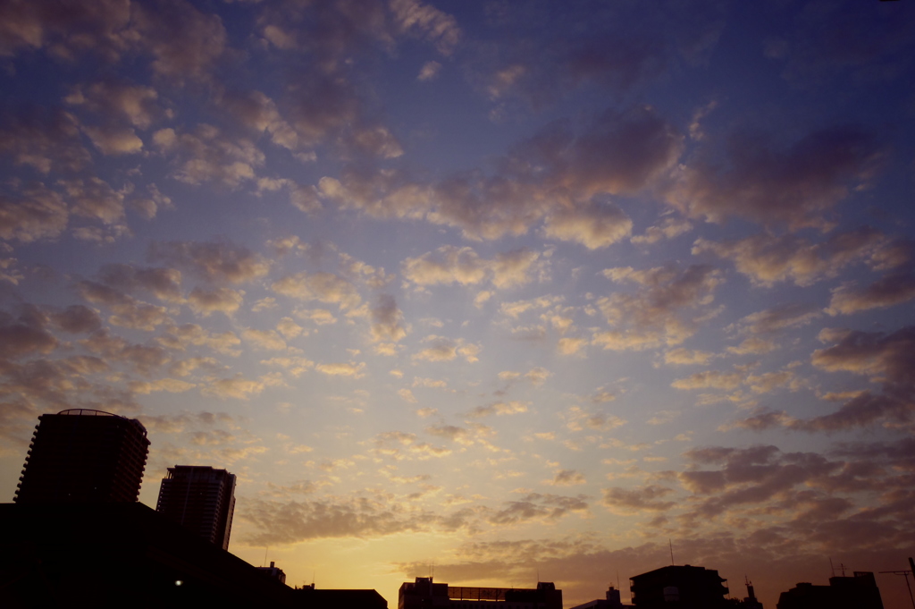 夕空に向かって愛を叫ぶ♪