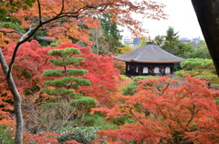 慈照寺(2)