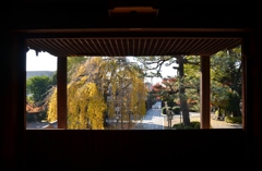 千本釈迦堂(1)
