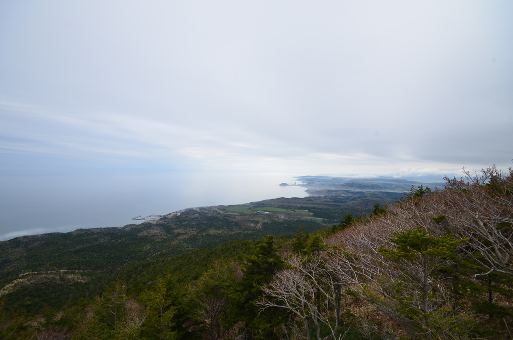 アポイ岳（２）