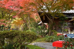 清閑寺(1)