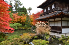 慈照寺(1)