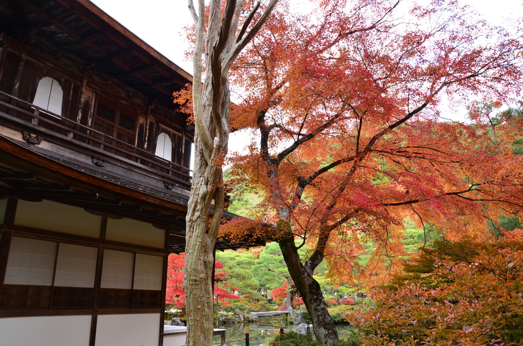 慈照寺(4)
