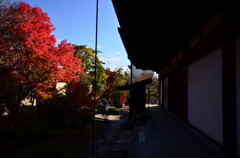 千本釈迦堂(5)