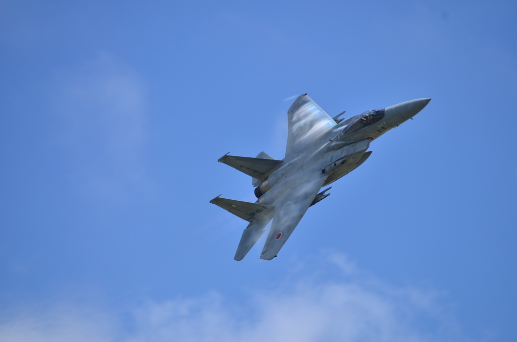 F-15J