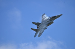 F-15J