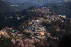 吉野