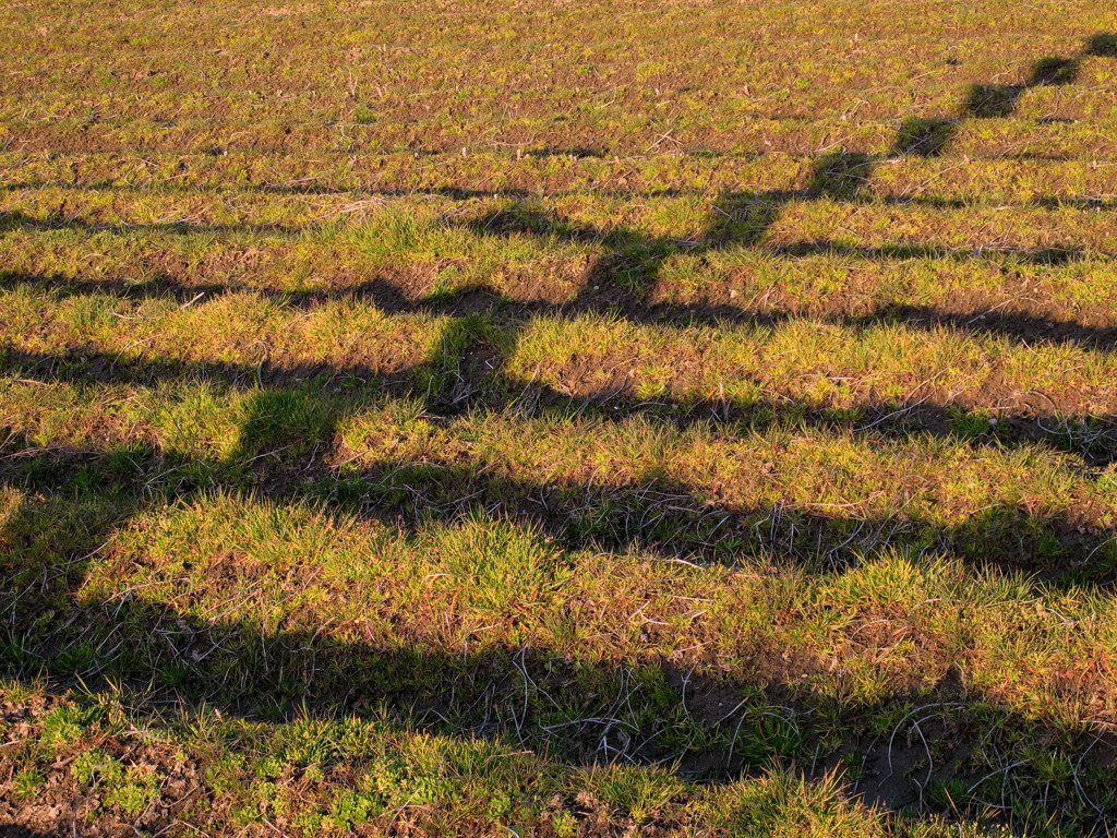 ウォッシュボード