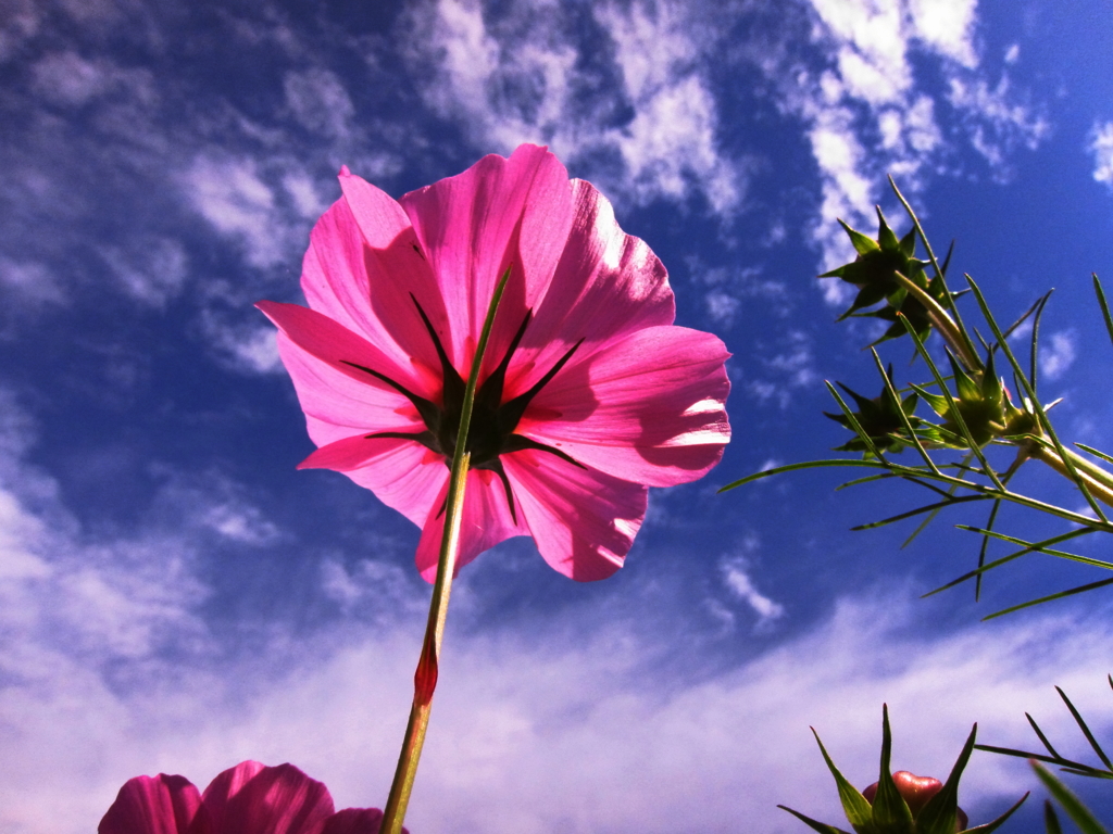 陽を受け止めて