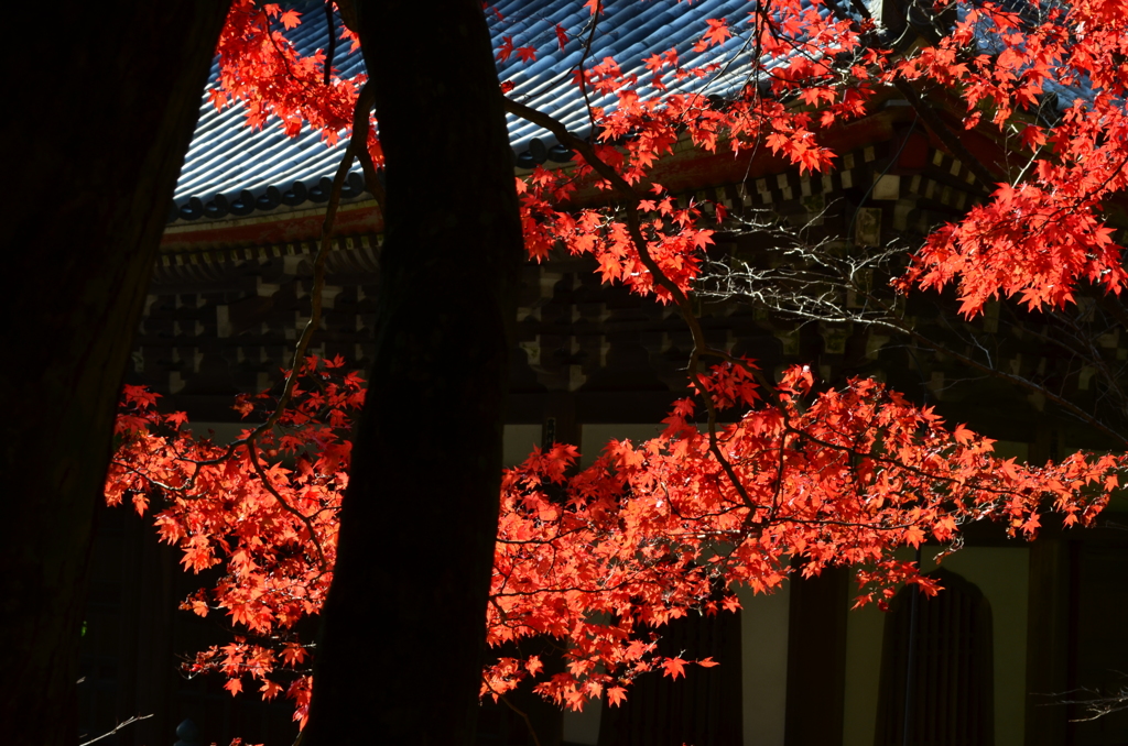 もう一つの清水寺