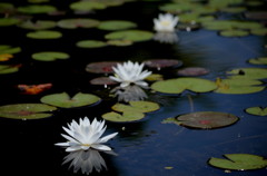 過去・現在・未来