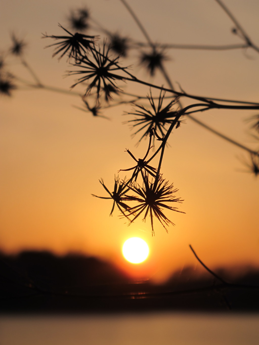 線香花火最後の雫