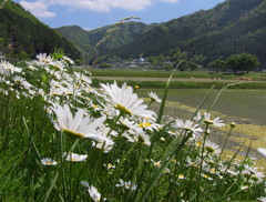 みんなどこを向いているのか？