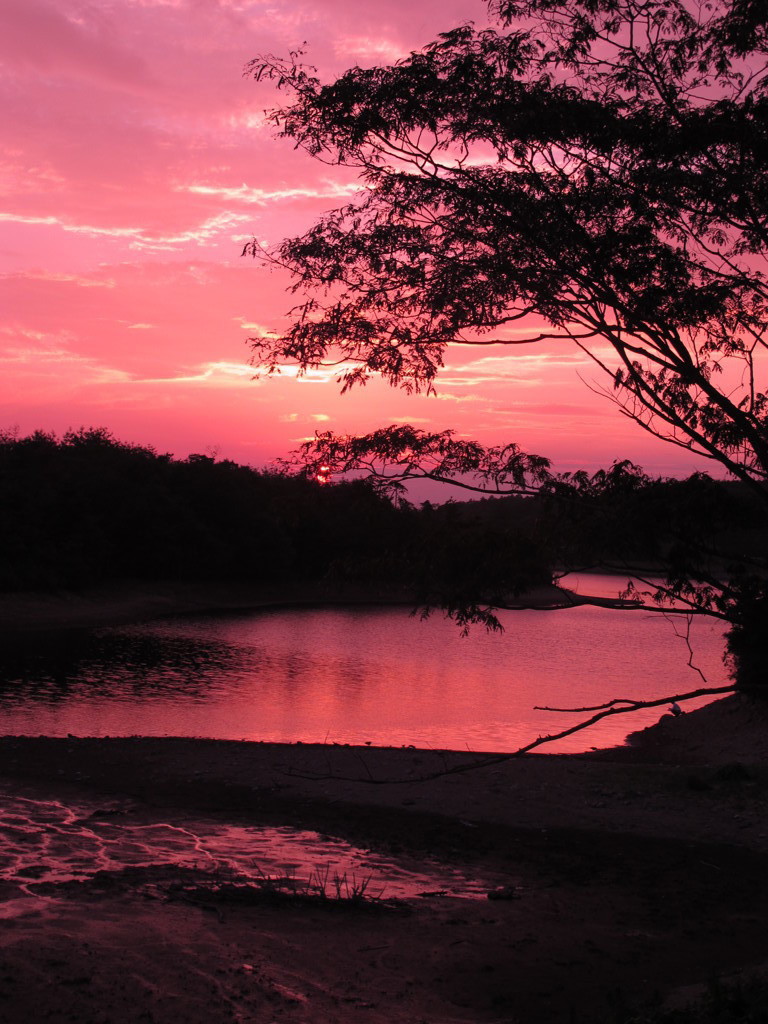 地獄の入口かそれとも天国へ？