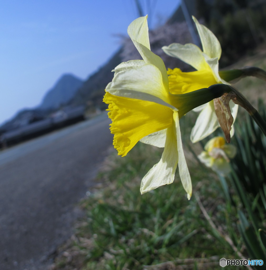 明日に向き合おう