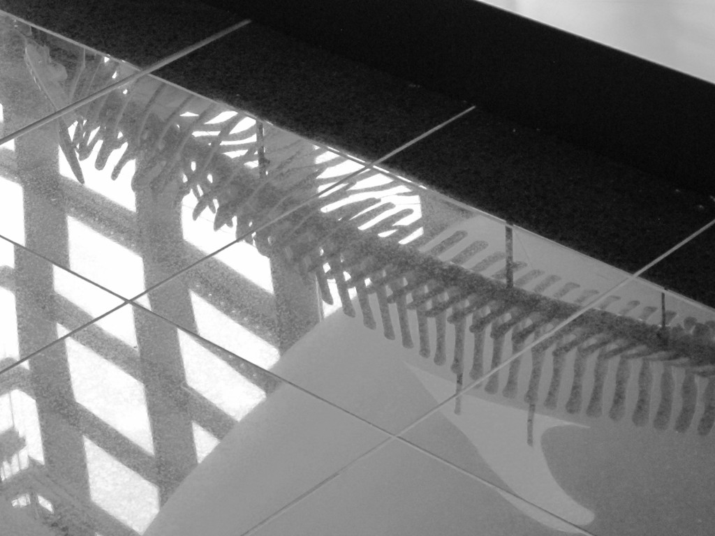 ボーンブリッジ