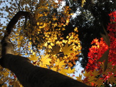 スポットライト