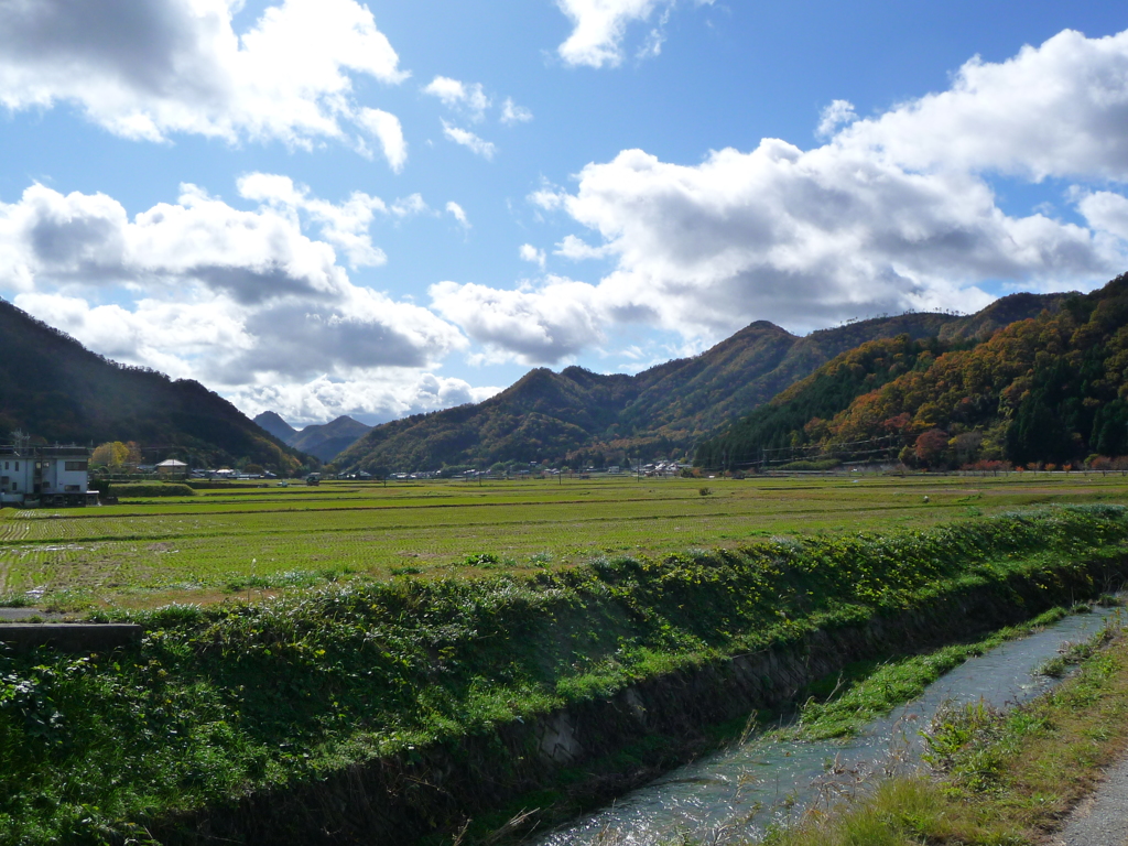 夏の思い出