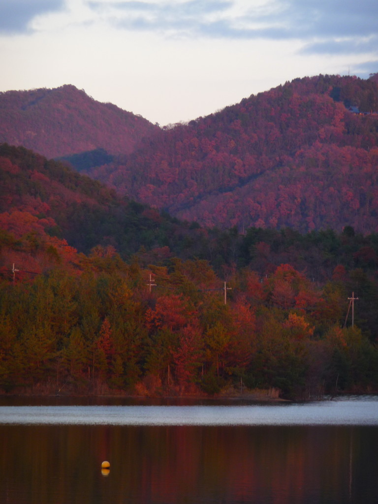 紅の時