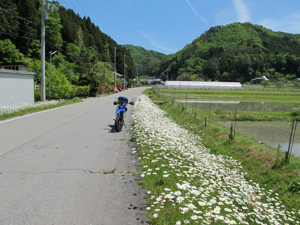 プチツーリング