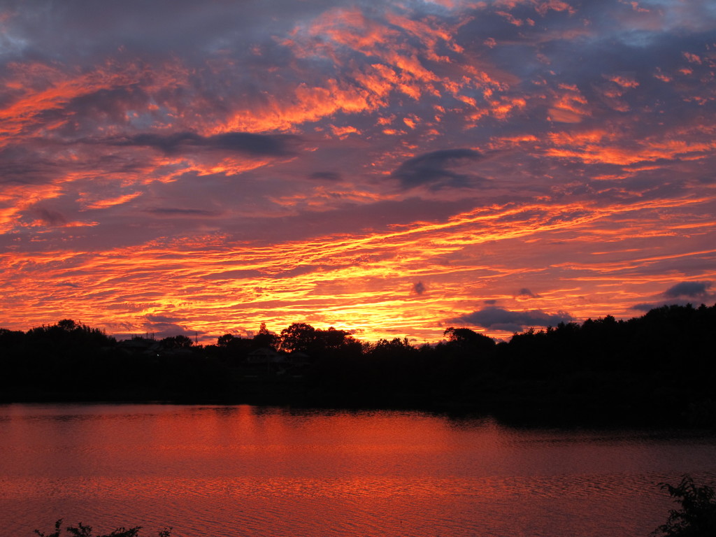 秋の訪れ　その４
