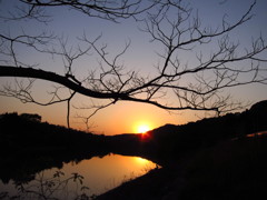 カラーマジック