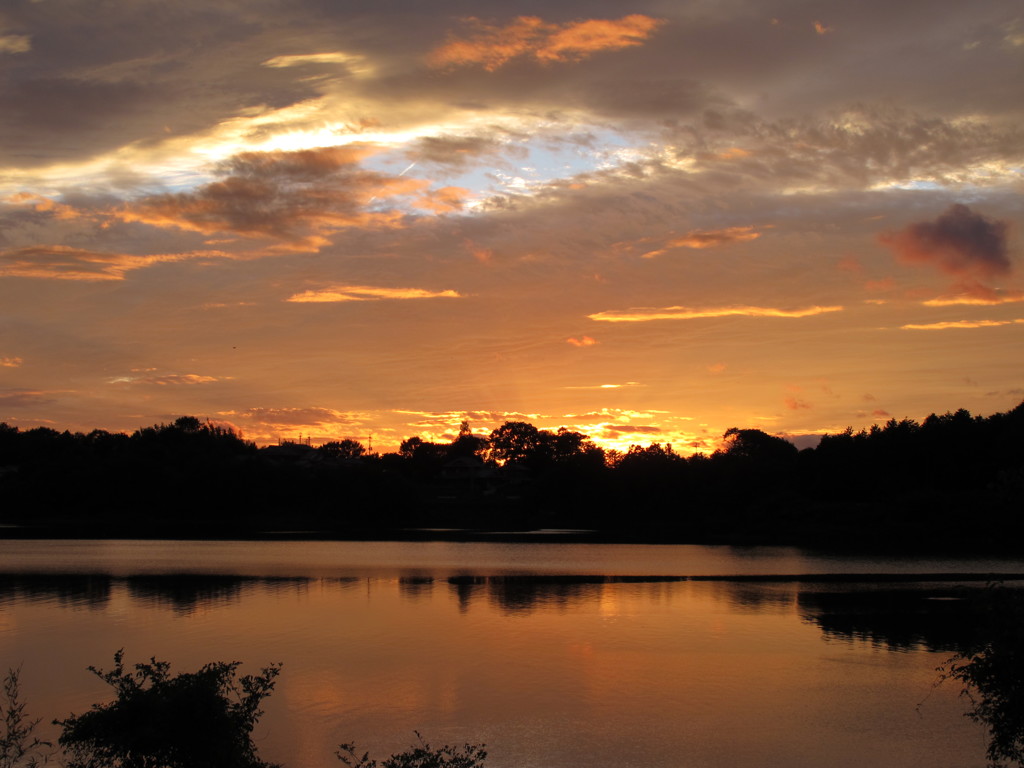 秋の訪れ　　その３