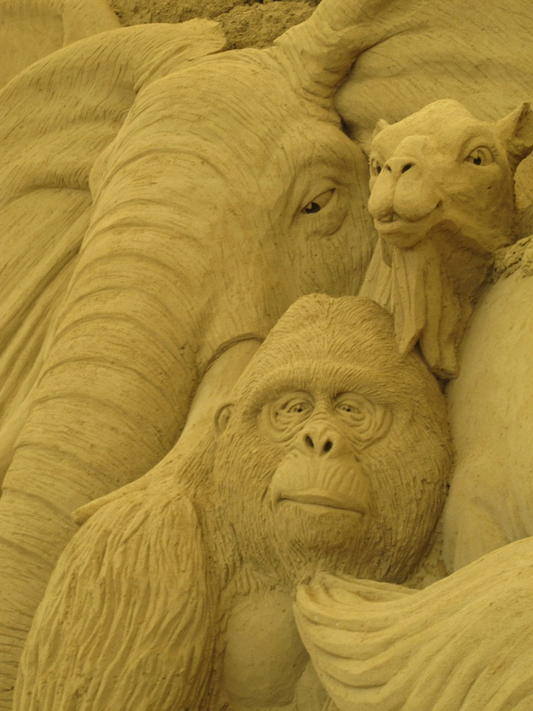 視線の向こうには