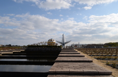 後ろ姿もいいでしょう