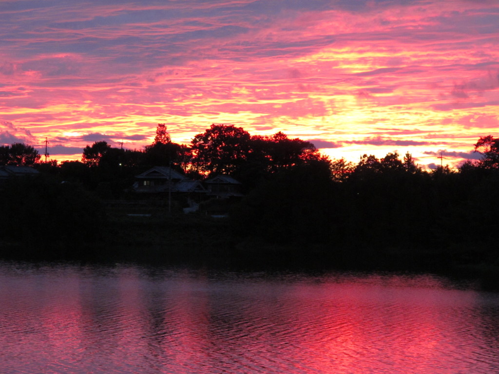 秋の訪れ　その２