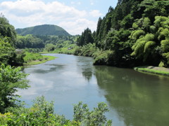 深緑の水辺