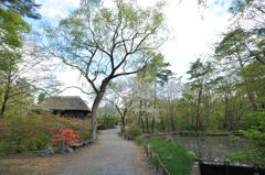 福島市民家園７