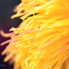 brightness