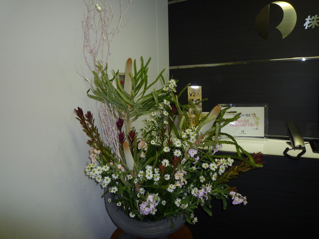P1000425