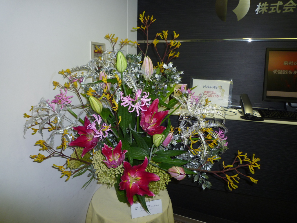 P1000422