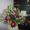 P1000422