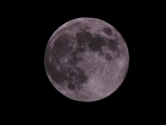 １５夜