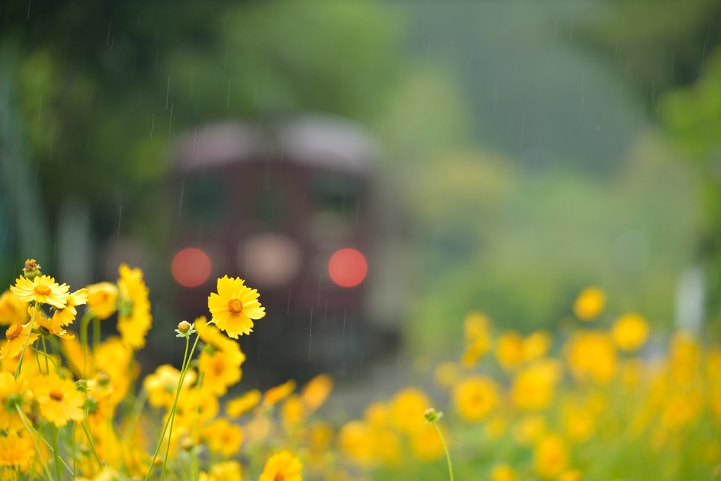 雨の日