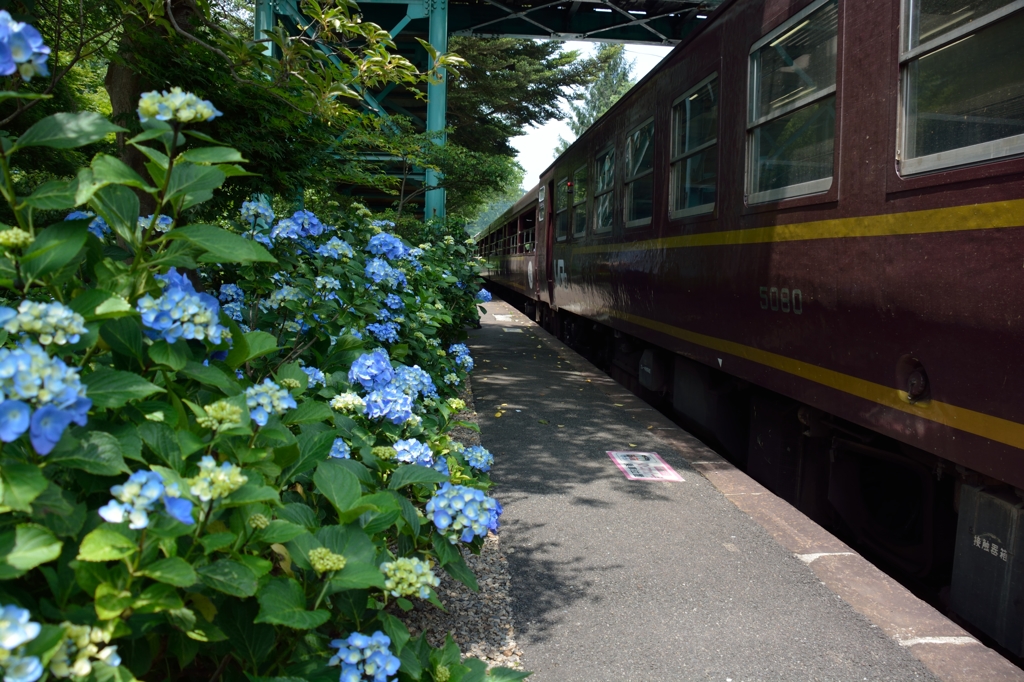 紫陽花の駅２