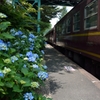 紫陽花の駅２