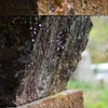 水遊び