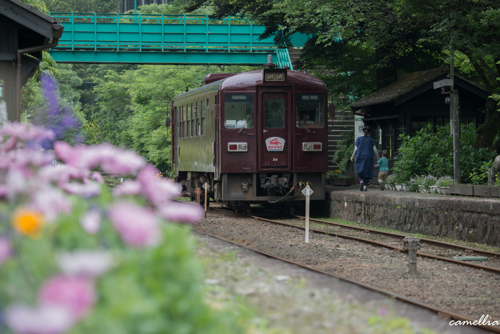 長閑な田舎鐵道　-2-