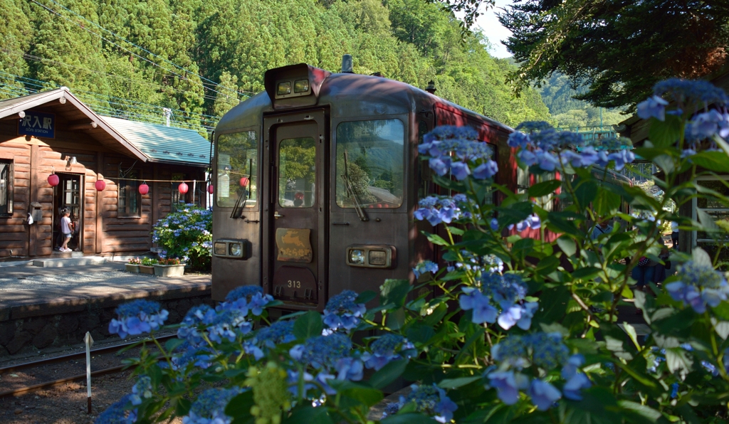 あじさい祭りの沢入駅