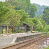花盛り鐵道