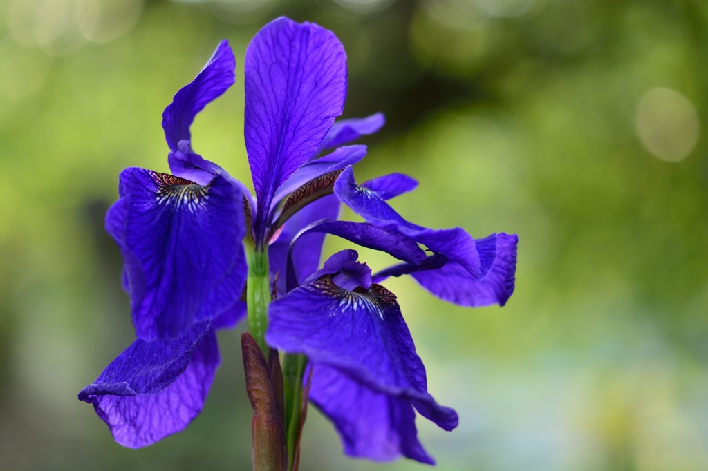 手～のひらを太陽に～♫♪♬
